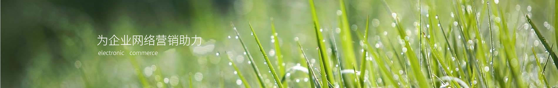 ķԶĻý޹˾